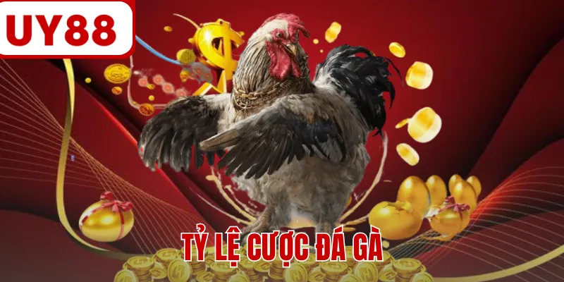 Tỷ Lệ Cược Đá Gà - Mức Odds Săn Thưởng Hấp Dẫn Nhất 2026